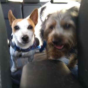 Profile Picture of Tony Lowry (@tony30968) on Twitter