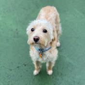 Profile Picture of Michael Delvecchio (@MrMikester111) on Youtube