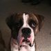 Profile Picture of Kelly Bryan (@kelly.bryan.5036) on Facebook