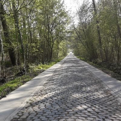 Profile Picture of Mark Rutten (@MarkRutten8) on Twitter