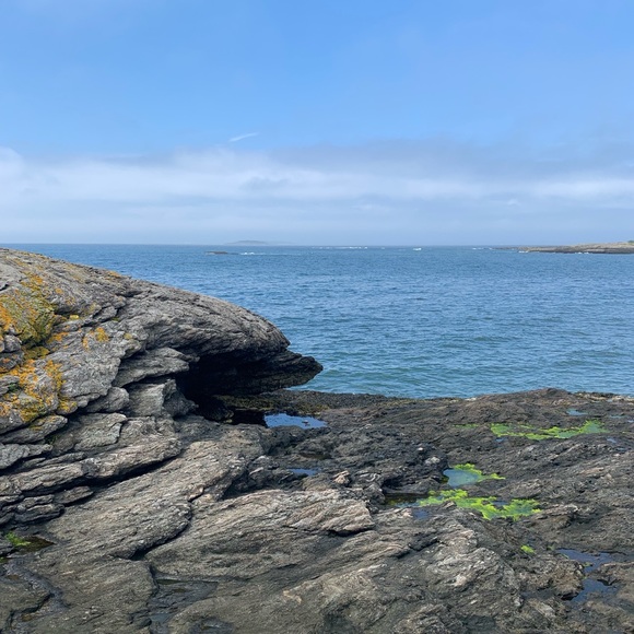 Profile Picture of Claire Walters (@clairewalt) on Poshmark