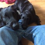 Profile Picture of Hilbert Kok (@kokhilbert) on Instagram