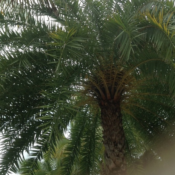 Profile Picture of Keri Leymaster (@kleymaster) on Poshmark