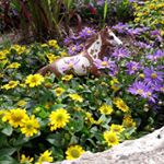 Profile Picture of Pauline Falk (@paradies_fotos) on Instagram