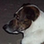 Profile Picture of Daniel Martini (@damsoon) on Flickr