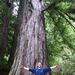 Profile Picture of Eric Zuckerman (@zuck216) on Pinterest