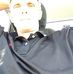 Profile Picture of Gregg Chaney (@gregg.chaney.79) on Facebook