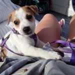Profile Picture of Kim Emmett (@bkemmett0916) on Instagram