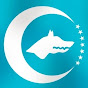 Profile Picture of KutluAkBakshy (@@KutluAkBakshy) on Tiktok