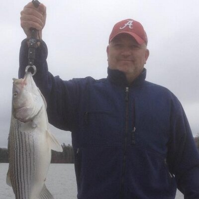 Profile Picture of Randy Adair (@ShedRats) on Twitter