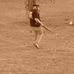 Profile Picture of Brian Hutt (@brian.hutt.543) on Facebook