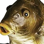 Profile Picture of john tomas ryan ocelnik (@johntomasryan) on Instagram