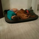 Profile Picture of Andre Bartels (@andrebartels) on Instagram