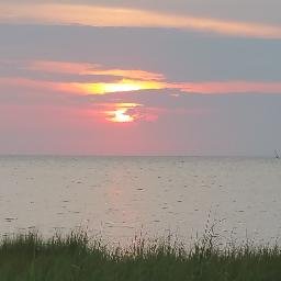 Profile Picture of Matt Knowlton (@Uhgungawa) on Twitter