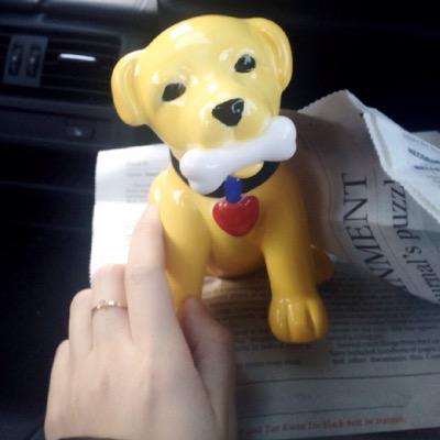 Profile Picture of Zhi Shen (@Phoebe_Shenzhi) on Twitter