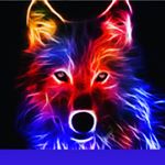 Profile Picture of jake conners (@jake_conn3r) on Instagram