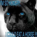 Profile Picture of Kim Teal (@krt60) on Instagram