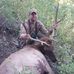 Profile Picture of J.D. McCall (@madmanmccall) on Facebook