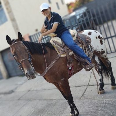 Profile Picture of EDWARD STEWART ALVAREZ IBARRA (@StewartIbarra) on Twitter