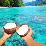 Michaela Cullen - Instagram Profile Picture of Michaela Cullen (@cactiperf) on Instagram