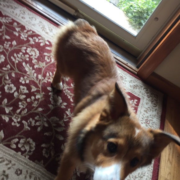 Profile Picture of Jake Silverman (@jsilv700) on Poshmark