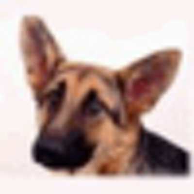 Profile Picture of Marion Alvarado (@alvarado_marion) on Twitter