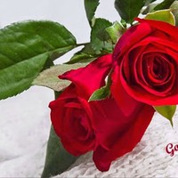 Profile Picture of Micheal Newton (@micheal-newton-6) on Quora