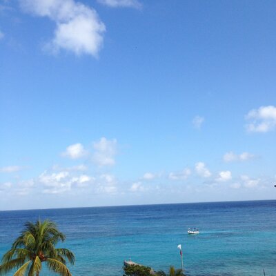 Profile Picture of Nick McCleary (@McclearyNick) on Twitter