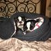 Profile Picture of Brandie Hill (@brandiehill) on Pinterest