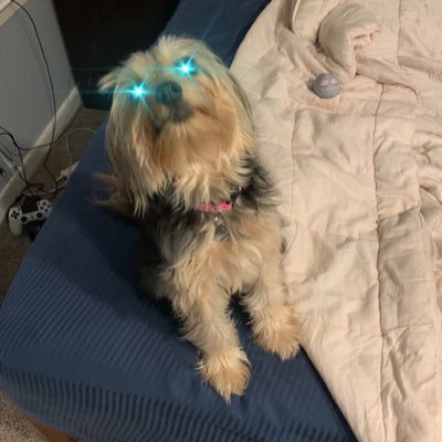 Austin Coy - Twitter Profile Picture of Austin Coy (@Austincoy) on Twitter