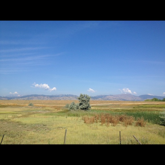 Profile Picture of Josh Burks (@jbburks88) on Poshmark