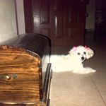 Profile Picture of Edgardo Muñoz (@edgardo.munoz.355) on Instagram