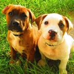 Profile Picture of Marielle Van Luik (@onceuponaprairiefarm) on Instagram