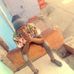 Profile Picture of Smarsh Kabay (@Smarsh-Kabay) on Facebook