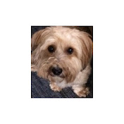 Profile Picture of Elizabeth Singh (@elizabethsingh5949) on Youtube