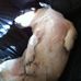 Profile Picture of Paul A. Coster (@paul.coster.3) on Facebook