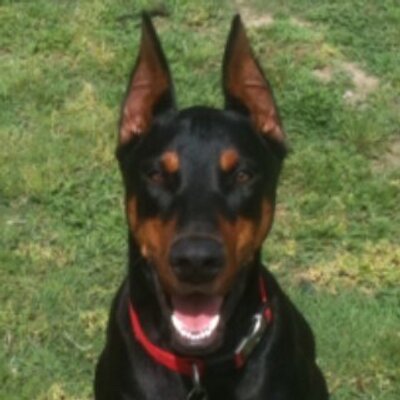 Profile Picture of Nathan Burr (@85Nburr) on Twitter