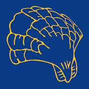 Profile Picture of William Howard School (@williamhowardschool6350) on Youtube