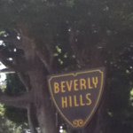 Profile Picture of Josh Stillman (@itsjoshbitches) on Instagram