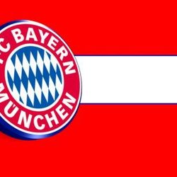 Profile Picture of Bernd Hoffmann (@BerndHoffmann20) on Twitter