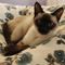 Profile Picture of Janet Rasmussen (@janet.rasmussen.7) on Facebook