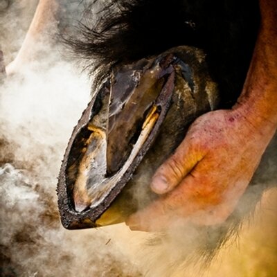 Tony Golding - Twitter Profile Picture of Tony Golding (@tony_golding) on Twitter