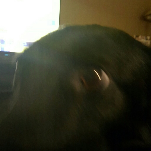 Profile Picture of Shawn H (@shawnbocombo) on Poshmark