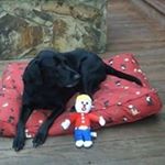 Profile Picture of Byron Wayne Buckhalt (@thewaynebuckhalt) on Instagram
