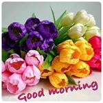 Profile Picture of Hardeep Mann (@_hardeep_maan_) on Instagram