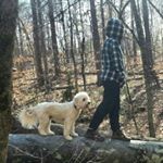 Profile Picture of Amanda Wolfe🐺 (@just_doodling_) on Instagram