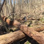 Profile Picture of Brenda LaBarre (@bren.barre) on Instagram