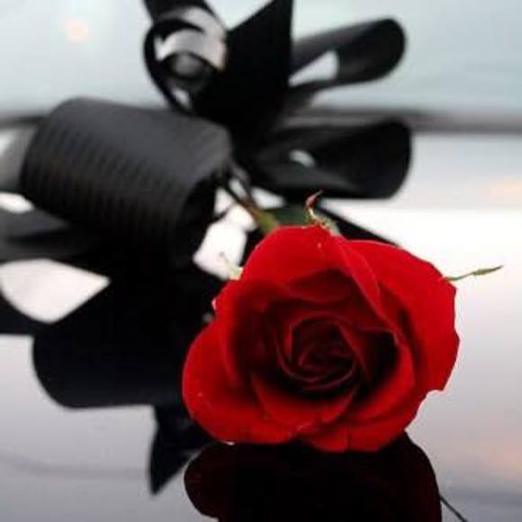 Profile Picture of David Avellaneda (@lilpiggy_2007) on Poshmark