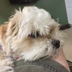 Profile Picture of Chris Sontag (@dad_tag) on Instagram