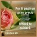 Profile Picture of Amparo Abreu (@amparo.abreu.771) on Facebook
